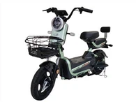 Bicicleta elèctrica amb carrosseria d'acer amb absorció hidràulica