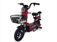 Bicicleta elèctrica lleugera assequible