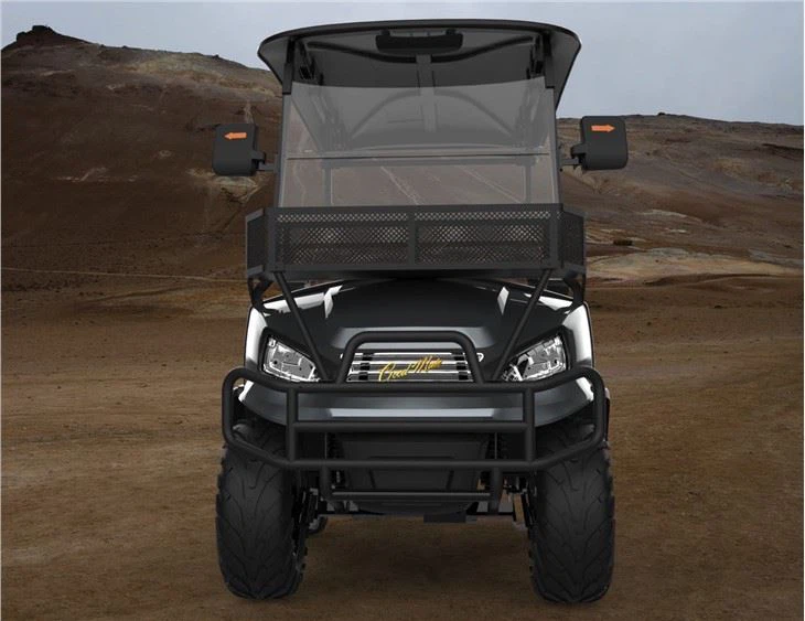 Electric Club Golf Cart CE Approal